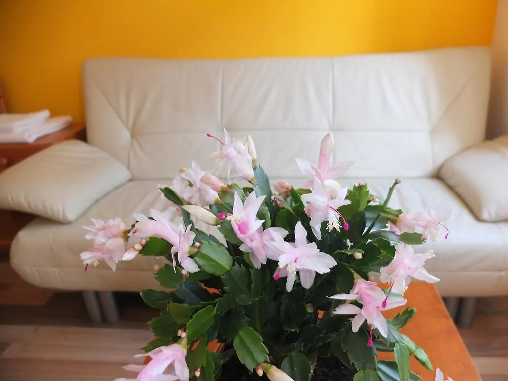 Leopoldauer Apartment Vienna 2*,  Austria