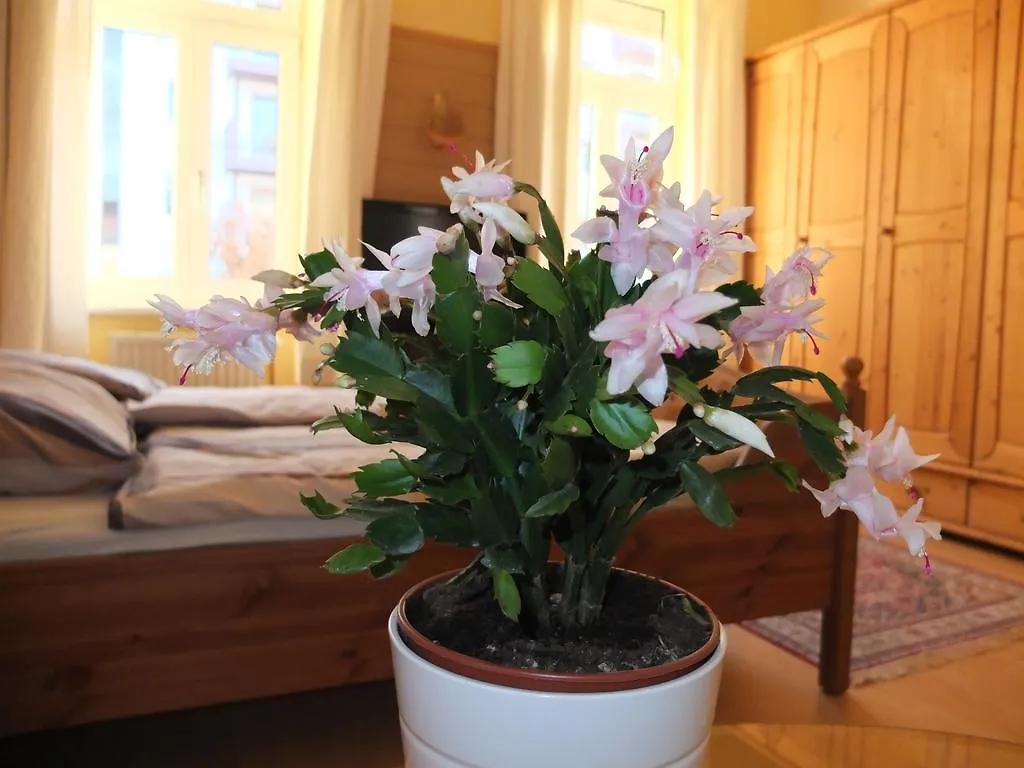 Leopoldauer Apartment Vienna